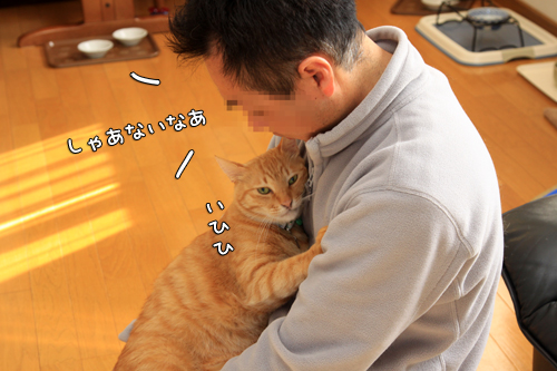 ちゃとら伝説_d0355333_14573465.jpg