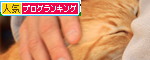 ちゃとら伝説_d0355333_14573527.jpg