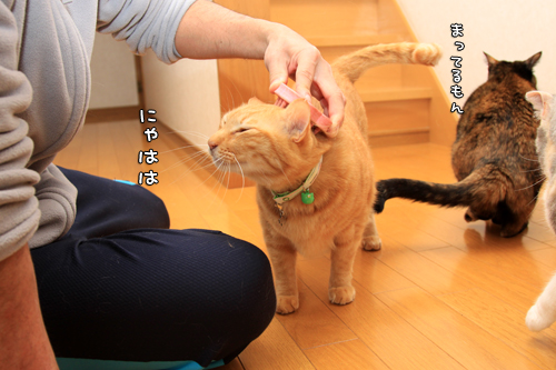 順番がまわってきて_d0355333_14573739.jpg