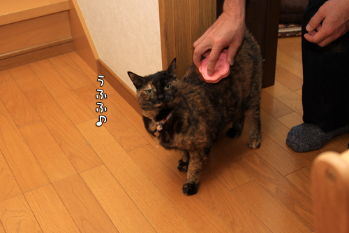 順番がまわってきて_d0355333_14573875.jpg