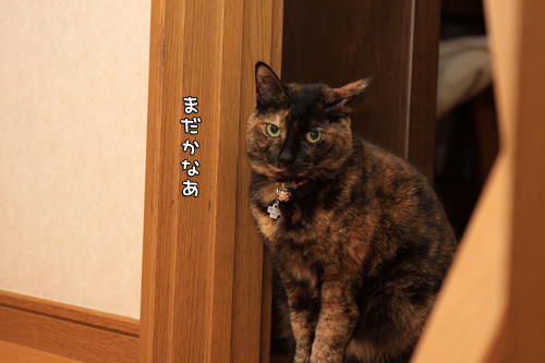 順番がまわってきて_d0355333_14573880.jpg