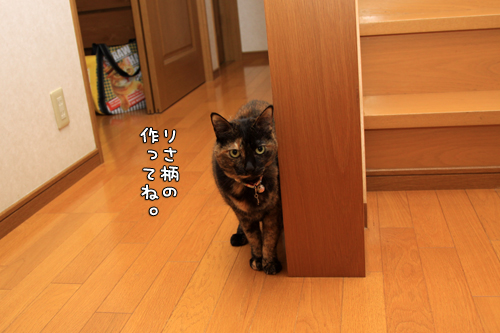 順番がまわってきて_d0355333_14573976.jpg