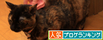 順番がまわってきて_d0355333_14573979.jpg