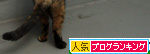 ベランダで、にょーん!_d0355333_14574401.jpg