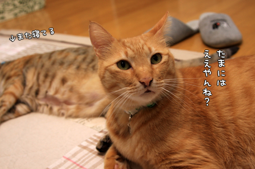 お疲れモード_d0355333_14575026.jpg