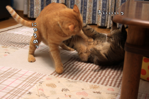 一触即発?!_d0355333_14575245.jpg