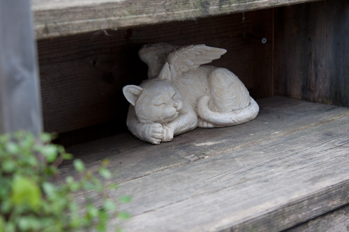 猫毛フェルトやってみました_d0355333_14575537.jpg