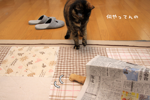 乗ってあげてください_d0355333_14575846.jpg