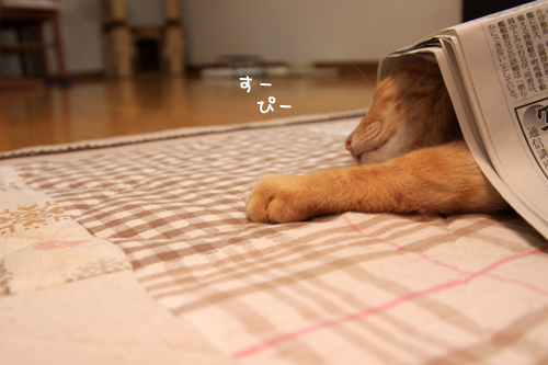 乗ってあげてください_d0355333_14575927.jpg