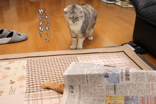 乗ってあげてください_d0355333_14575962.jpg