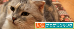 ついてない_d0355333_14580217.jpg