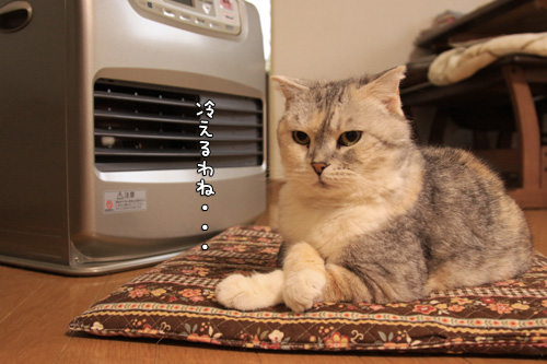 ついてない_d0355333_14580234.jpg
