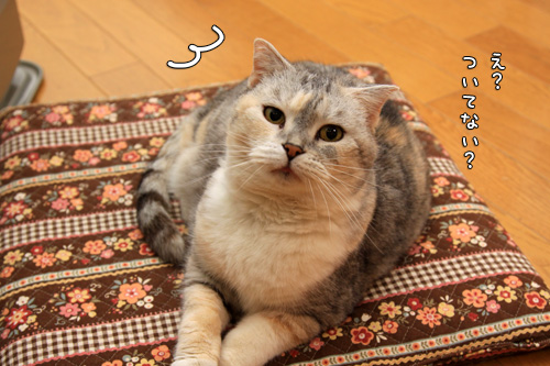 ついてない_d0355333_14580246.jpg