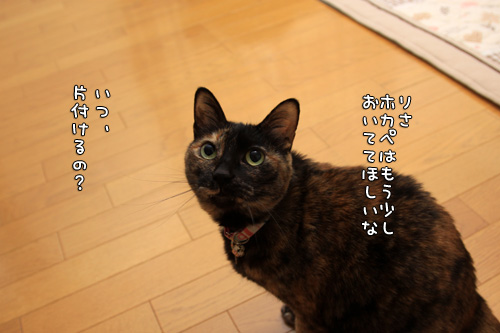 ついてない_d0355333_14580270.jpg
