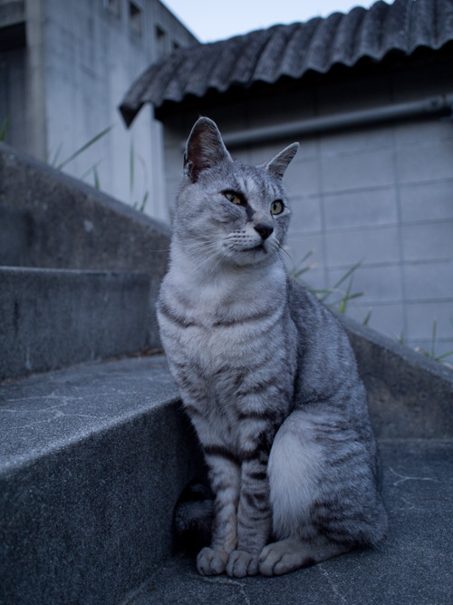 仲良くなりたいな_d0355333_14580446.jpg