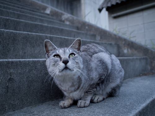 仲良くなりたいな_d0355333_14580450.jpg