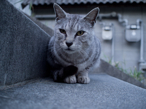 仲良くなりたいな_d0355333_14580484.jpg