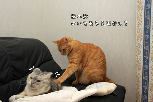 悪い手!_d0355333_14580931.jpg