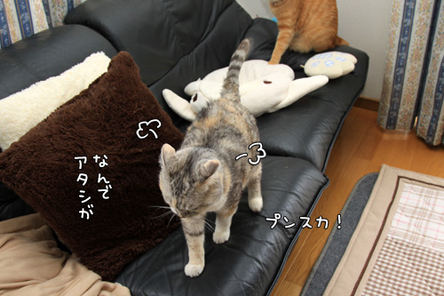 悪い手!_d0355333_14580971.jpg