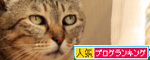 任せたよ!_d0355333_14581206.jpg