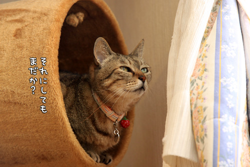 ゴールデンウィーク中につき_d0355333_14581263.jpg