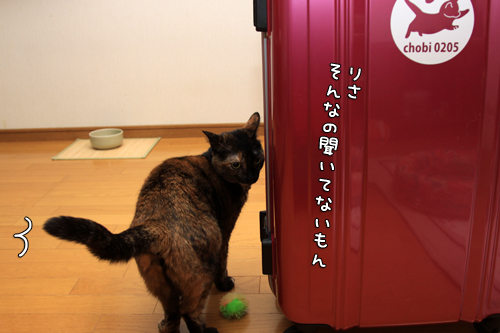 任せたよ!_d0355333_14581975.jpg