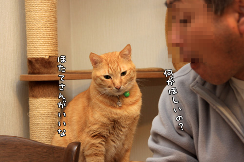 日本食バンザイ!_d0355333_14582298.jpg