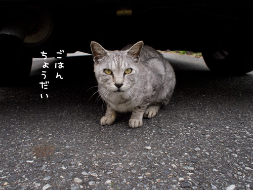 それはないでしょ!_d0355333_14582839.jpg