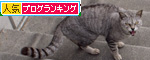 どうすればいいの?_d0355333_14582897.jpg