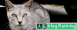 名前は大切。_d0355333_14584153.jpg