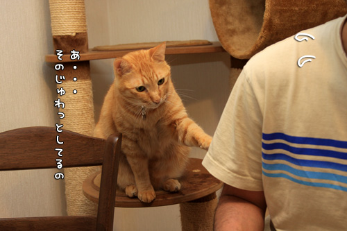 ホントの狙いは・・・_d0355333_14584450.jpg