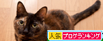 だまされないよ?_d0355333_14584631.jpg