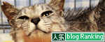 聞こえた?_d0355333_14584719.jpg