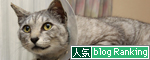 祝★ケージ脱出♪_d0355333_14585055.jpg