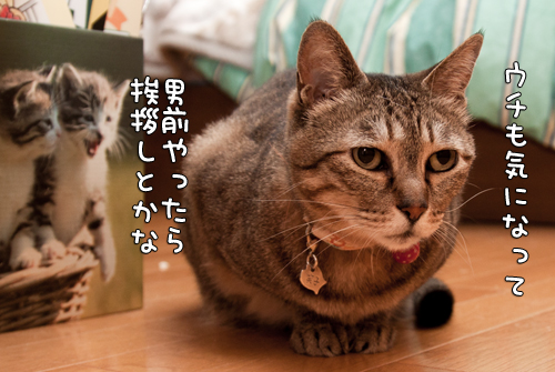 気になるんだよね。_d0355333_14585269.jpg