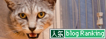 気になるんだよね。_d0355333_14585339.jpg