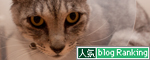 不都合なカラー_d0355333_14585422.jpg