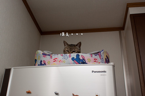 病院がんばったよ!_d0355333_14590172.jpg