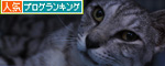 病院がんばったよ!_d0355333_14590186.jpg