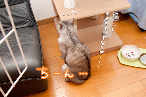 目的が違う_d0355333_14590754.jpg
