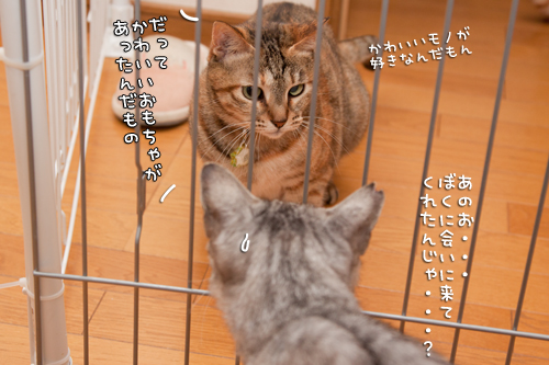 目的が違う_d0355333_14590760.jpg