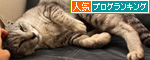 うさぎにびっくり_d0355333_14591236.jpg