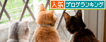 窓際にて。_d0355333_14591725.jpg