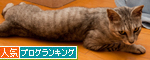 遊ぶかな?_d0355333_14591845.jpg