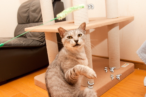 もう少し!_d0355333_14592024.jpg