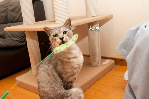 もう少し!_d0355333_14592075.jpg