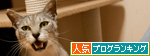 やったー!_d0355333_14592119.jpg