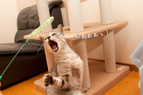 もう少し!_d0355333_14592172.jpg