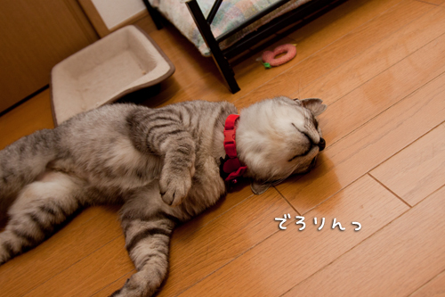 違和感ありあり_d0355333_14592250.jpg