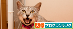 よっしゃー!_d0355333_14592296.jpg